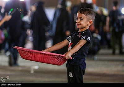 پیاده روی شبانه در مسیر نجف به کربلا