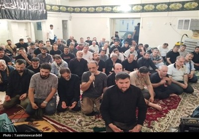 موکب شهدای اردبیل در کربلا؛ نگینی از عشق به سیدالشهدا (ع) به روایت تصویر