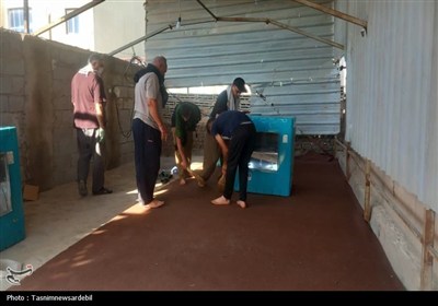 موکب شهدای اردبیل در کربلا؛ نگینی از عشق به سیدالشهدا (ع) به روایت تصویر