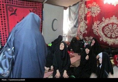 موکب شهدای اردبیل در کربلا؛ نگینی از عشق به سیدالشهدا (ع) به روایت تصویر