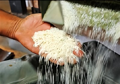 برنج،بازار،قيمت،گلستان،استان،كاهش،تنظيم،ورود،خريد،مسئولان،اف ...