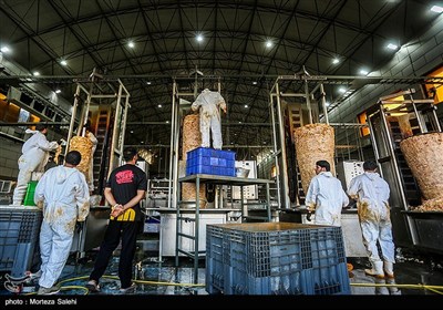 پیاده روی زائران اربعین حسینی در مسیر نجف به کربلا