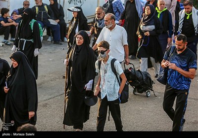 پیاده روی زائران اربعین حسینی در مسیر نجف به کربلا