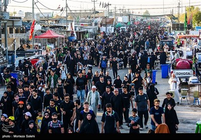 پیاده روی زائران اربعین حسینی در مسیر نجف به کربلا