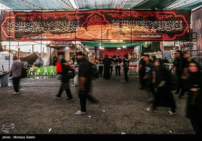 پیاده روی زائران اربعین حسینی در مسیر نجف به کربلا