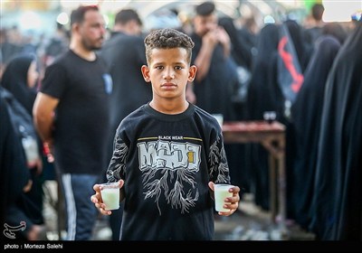 پیاده روی زائران اربعین حسینی در مسیر نجف به کربلا