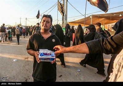 پیاده روی زائران اربعین حسینی در مسیر نجف به کربلا
