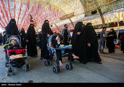 پیاده روی زائران اربعین حسینی در مسیر نجف به کربلا