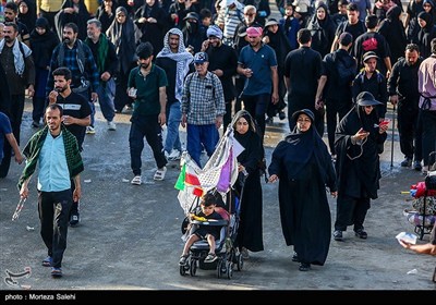 مسير،دلدادگي،كربلا،دوش،انتهاي،راهي