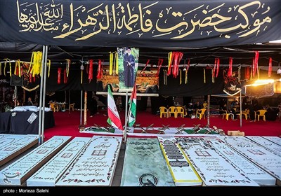 پیاده روی زائران اربعین حسینی در مسیر نجف به کربلا