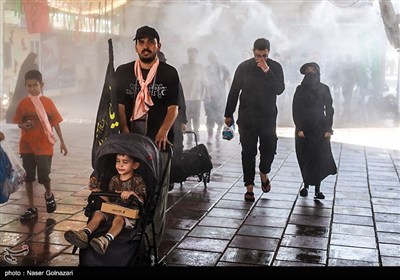 هرمزگان،استان،موكب،اربعين،مرادي،نماينده،فعاليت،زائران،پذيراي ...