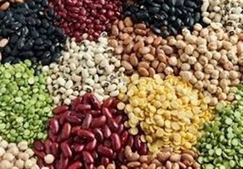 اردبیل با تولید یک میلیون تن حبوبات می‌تواند ایران را خودکفا کند