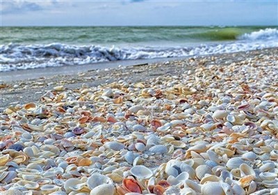 بوشهر،استان،درجه،دماي،هواشناسي،وزش،باد،هوا،شرجي،گناوه