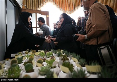 نشست خبری سخنگوی دولت