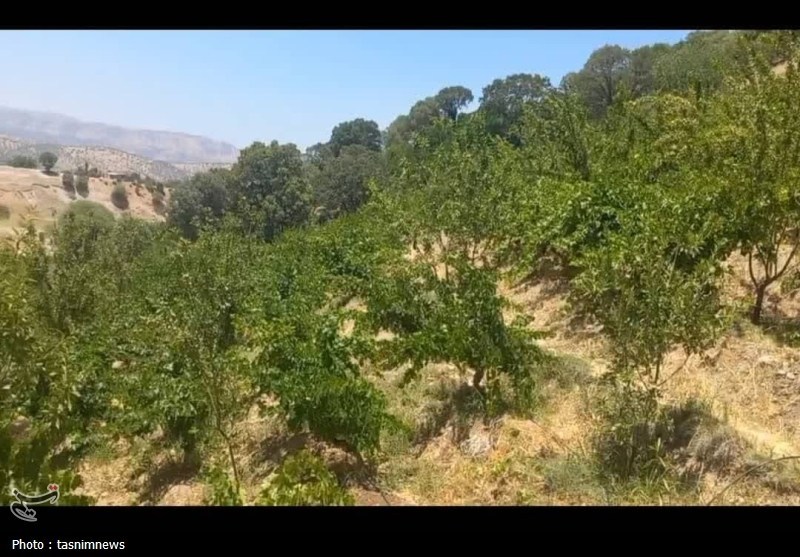 کشاورزی , وزارت نیرو , 