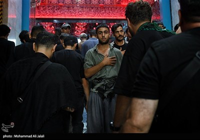 کربلای معلی در آستانه اربعین حسینی