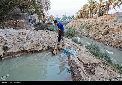 رهاسازی آب برای آبیاری و احیای نخیلات شهرستان‌های شادگان و ماهشهر