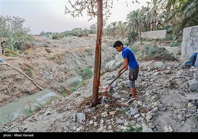 رهاسازی آب برای آبیاری و احیای نخیلات شهرستان‌های شادگان و ماهشهر