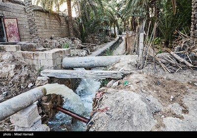 رهاسازی آب برای آبیاری و احیای نخیلات شهرستان‌های شادگان و ماهشهر