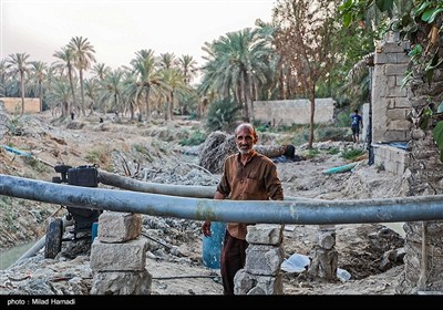 رهاسازی آب برای آبیاری و احیای نخیلات شهرستان‌های شادگان و ماهشهر