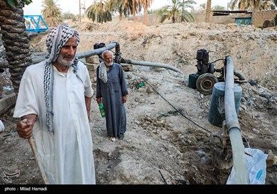 رهاسازی آب برای آبیاری و احیای نخیلات شهرستان‌های شادگان و ماهشهر