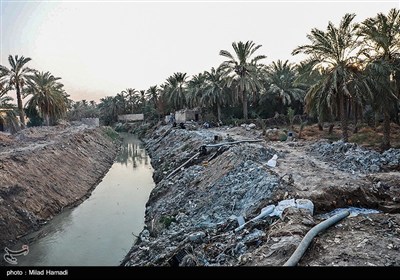 رهاسازی آب برای آبیاری و احیای نخیلات شهرستان‌های شادگان و ماهشهر