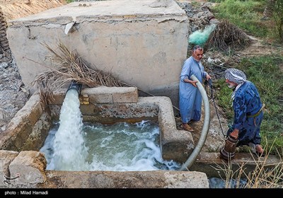 رهاسازی آب برای آبیاری و احیای نخیلات شهرستان‌های شادگان و ماهشهر