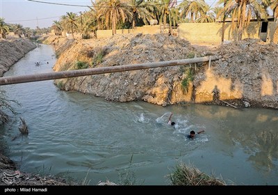 رهاسازی آب برای آبیاری و احیای نخیلات شهرستان‌های شادگان و ماهشهر