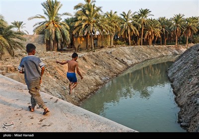 رهاسازی آب برای آبیاری و احیای نخیلات شهرستان‌های شادگان و ماهشهر