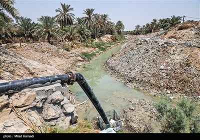 رهاسازی آب برای آبیاری و احیای نخیلات شهرستان‌های شادگان و ماهشهر