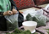 اشتغالزایی صندوق اعتباری‌ دامغان برای بانوان