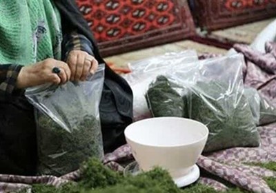 زنان،روستايي،روستاها،اقتصادي،اعتباري،كشت،كشاورزي،حوزه،ايجاد