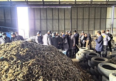 طرح،كشور،گاز،كرمانشاه،جايگزين،سوخت،وزير،سيمان،مصرف،اجراي،مؤم ...