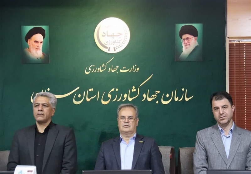 کاهش ۵ میلیارد مترمکعبی مصرف آب زراعی با اجرای الگوی جدید کشت