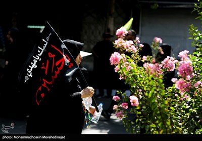 پیاده‌روی جاماندگان اربعین حسینی