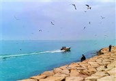 دمای هوا در استان بوشهر به 50 درجه با شرجی 87 درصد رسید