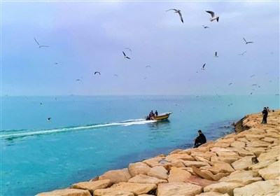 بوشهر،استان،درجه،دماي،هواشناسي،افزايش،وزش،سالاري،باد،كارشناس،40