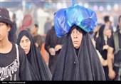 گزارش تسنیم از طریق الحله در مسیر پیاده‌روی اربعین