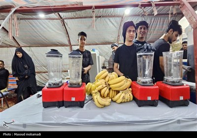 پیاده‌روی اربعین حسینی- کربلای معلی
