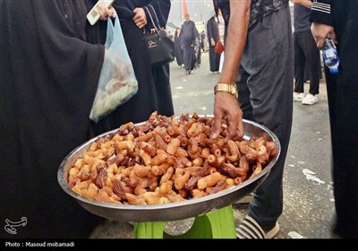 پیاده‌روی اربعین حسینی- کربلای معلی