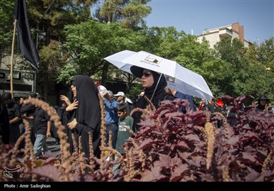 راهپیمایی جاماندگان اربعین حسینی در شیراز