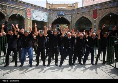 اربعین در حرم بانوی کرامت