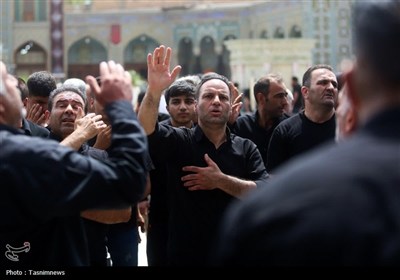 اربعین در حرم بانوی کرامت