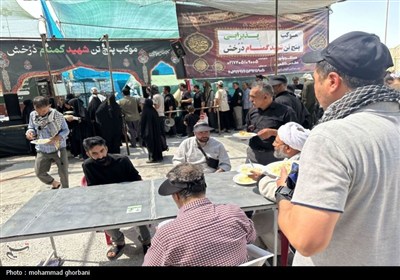 موكب،زائران،اربعين،خادمان،حسيني،خراسان،جنوبي،خدمت،كربلا،حسين ...