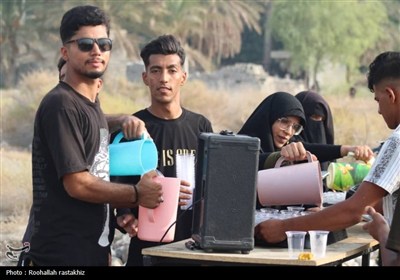 پیاده‌ روی جاماندگان اربعین در بخش توکهور میناب