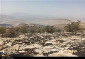 واکنش منابع طبیعی به آتش سوزی دیل؛ آتش در محدوده مدیریت محیط زیست بود!