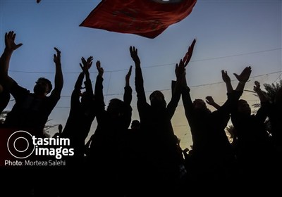 اربعین حسینی؛ طنین گام‌های بوشهری‌ها در مسیر عشق تا حرم اباعبدالله (ع)
