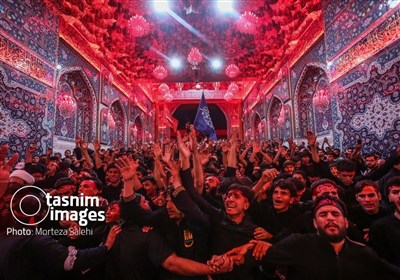 اربعین حسینی؛ طنین گام‌های بوشهری‌ها در مسیر عشق تا حرم اباعبدالله (ع)