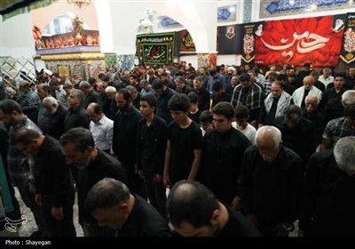 پیاده‌روی دلدادگان و جاماندگان اربعین در بوشهر