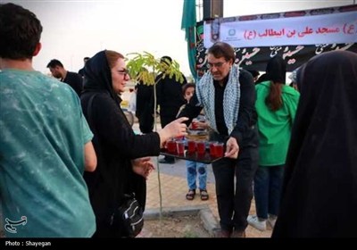پیاده‌روی دلدادگان و جاماندگان اربعین در بوشهر